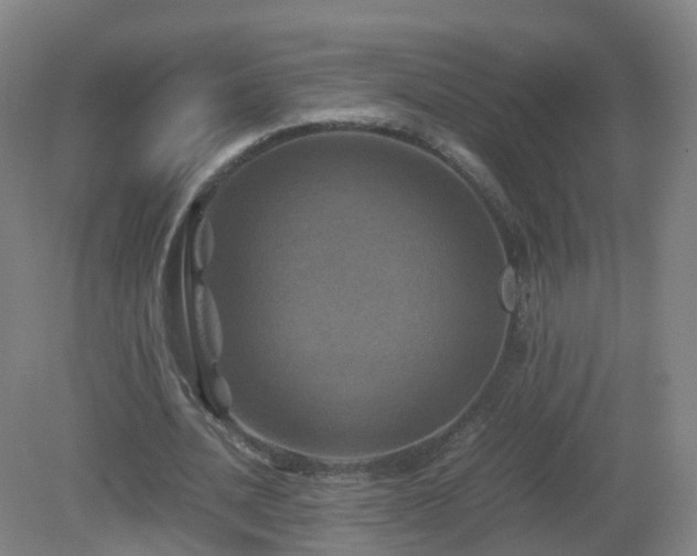 X0000081330628200701181955