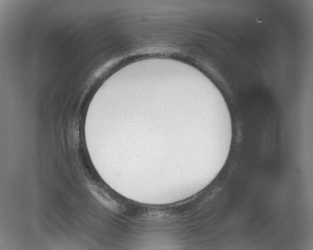 X0000081330632200701181955
