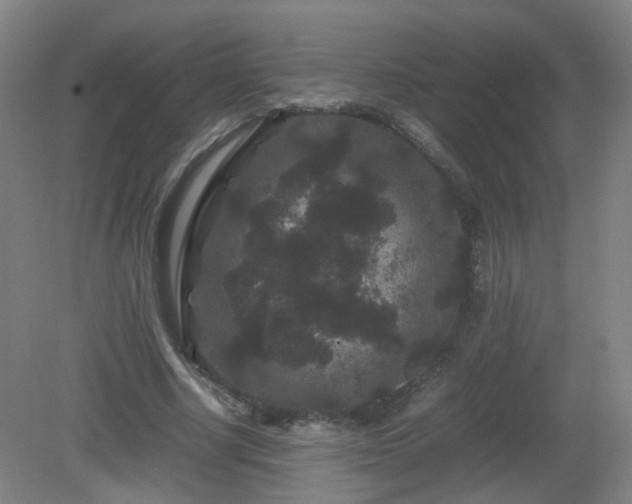 X0000081330634200701181955