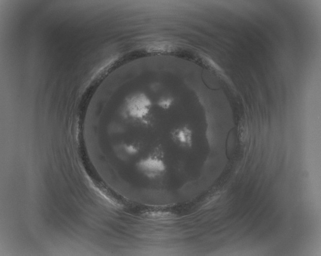 X0000081330637200701181955