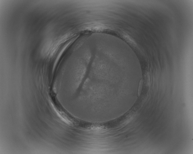X0000081330638200701181955
