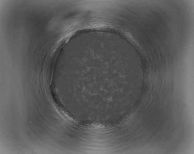 X0000081330640200701181955