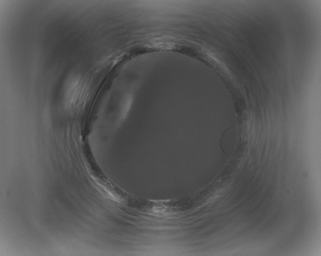 X0000081330641200701181955