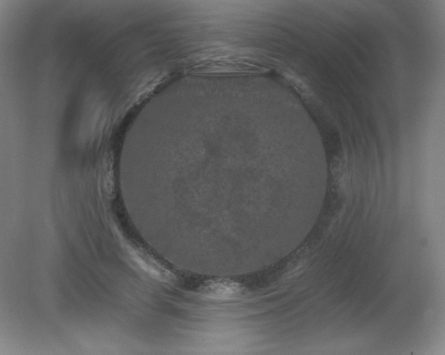 X0000081330642200701181955