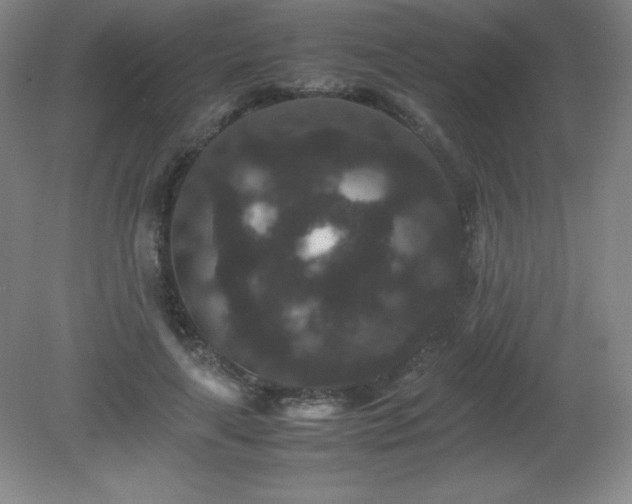 X0000081330643200701181955
