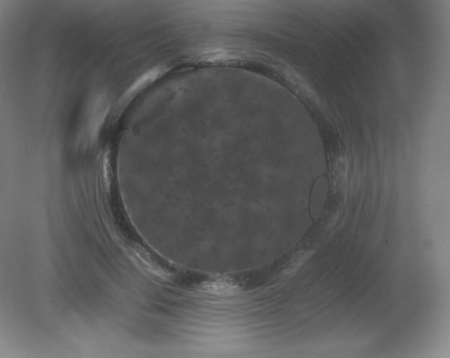 X0000081330644200701181955