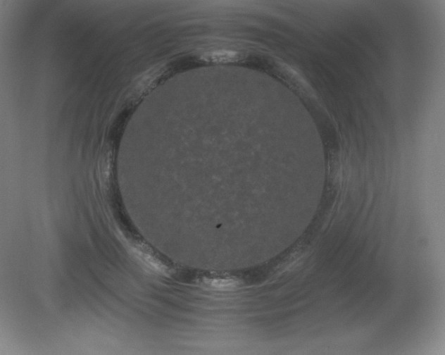 X0000081330645200701181955