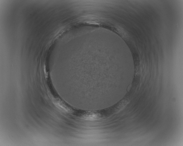 X0000081330646200701181955