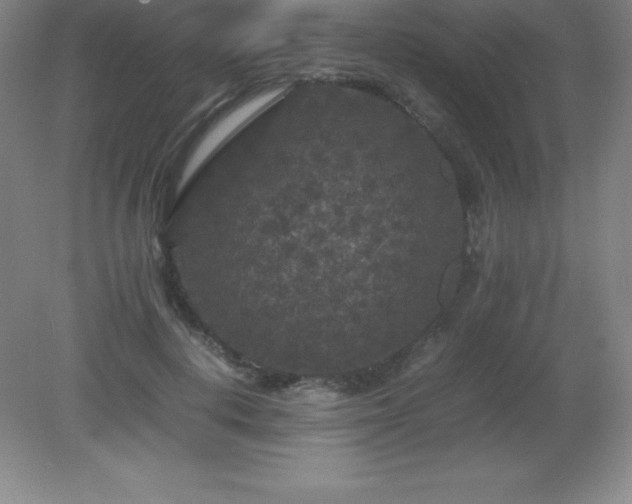 X0000081330648200701181955