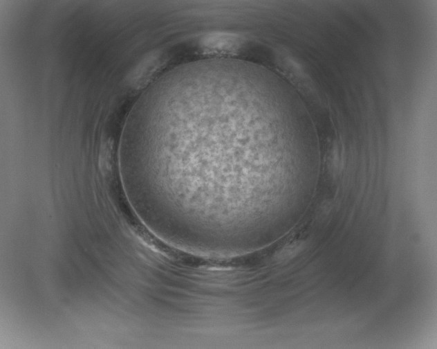 X0000081330649200701181955
