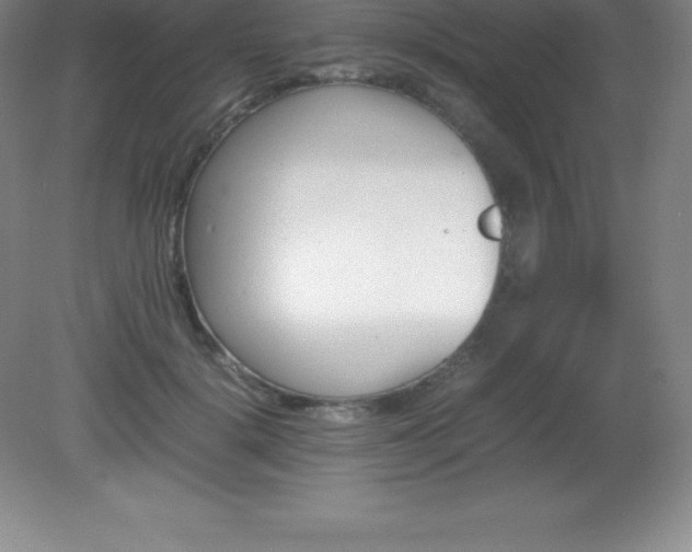 X0000081330652200701181955