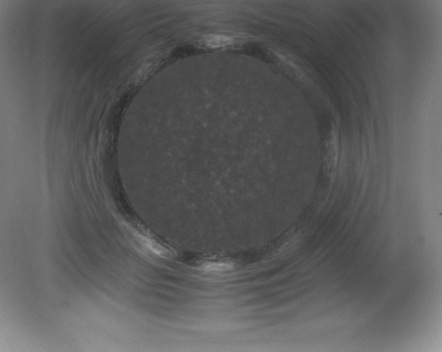 X0000081330653200701181955