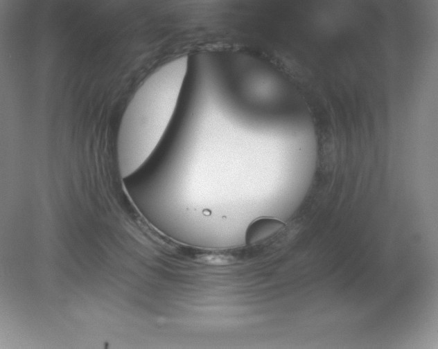 X0000081330654200701181955