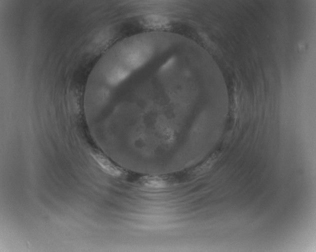 X0000081330658200701181956