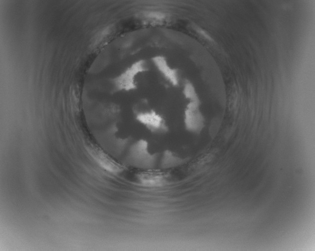 X0000081330661200701181956