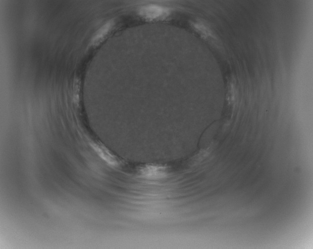 X0000081330664200701181956