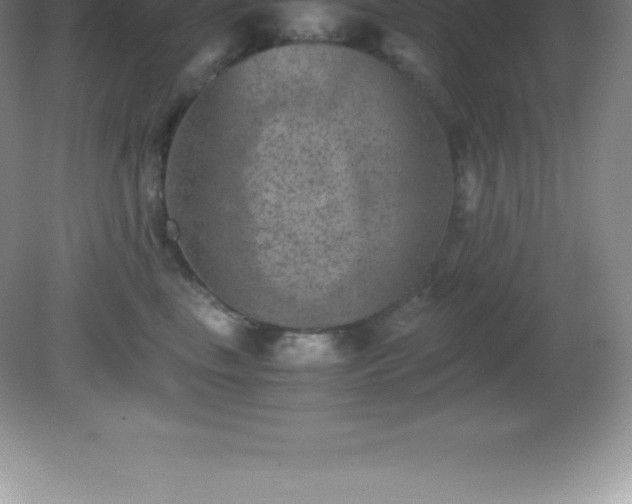 X0000081330665200701181956