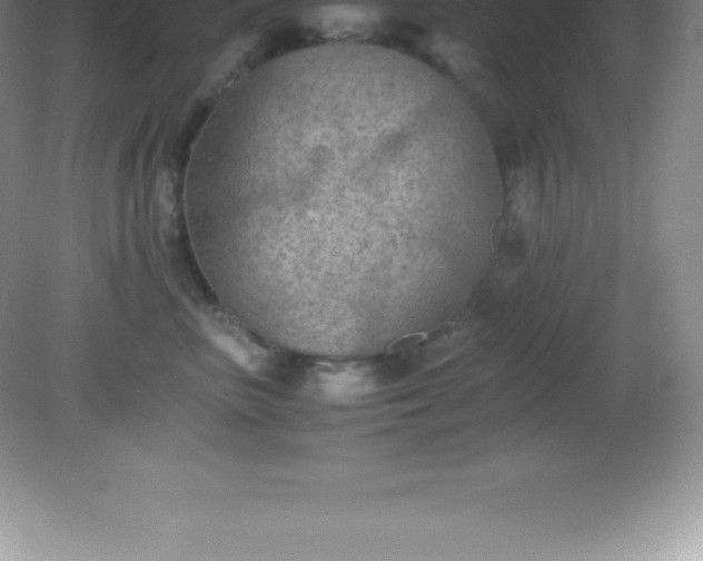 X0000081330667200701181956