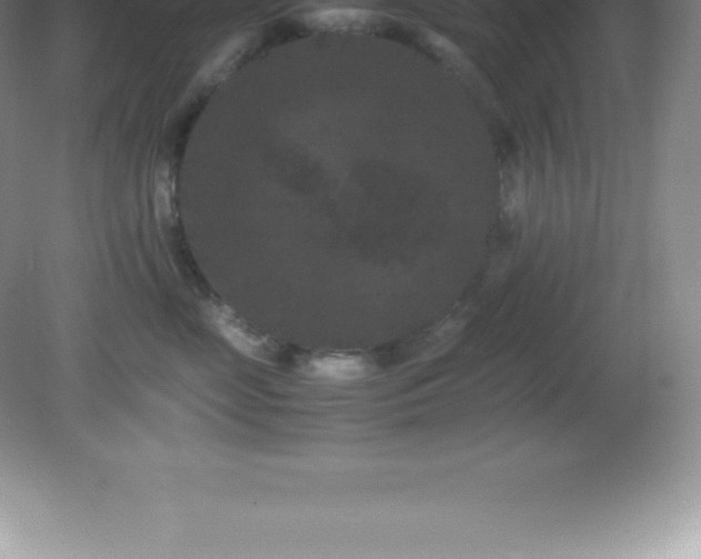 X0000081330669200701181956