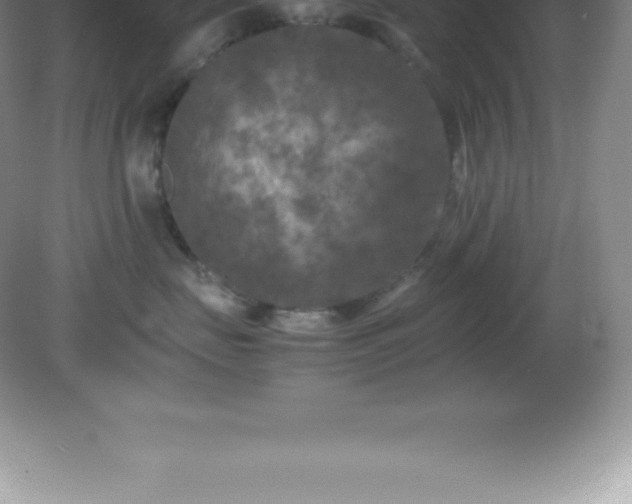 X0000081330671200701181956