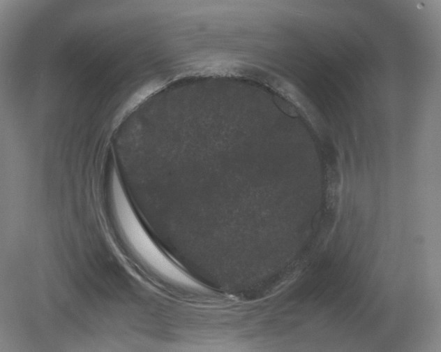 X0000081330677200701181955