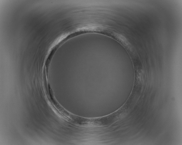 X0000081330678200701181955