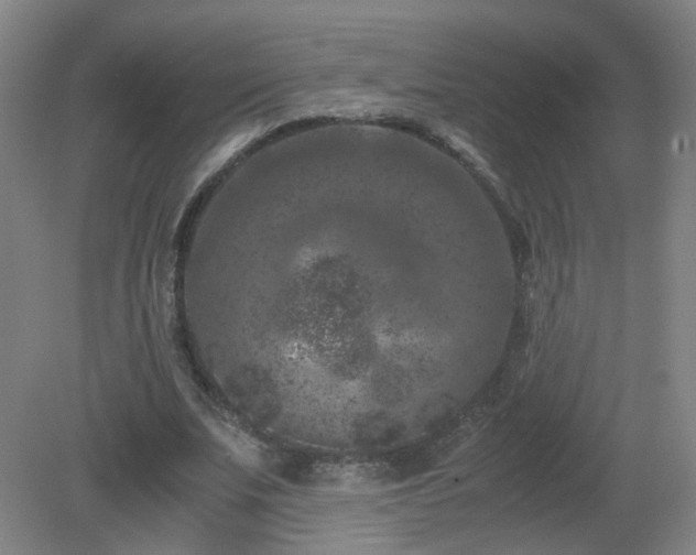 X0000081330679200701181955