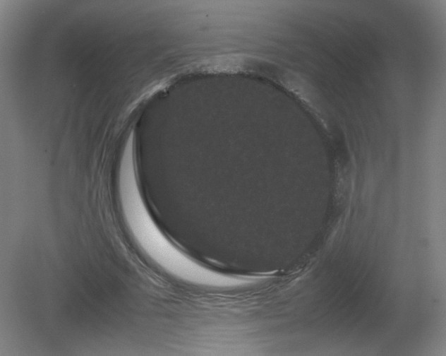 X0000081330681200701181955