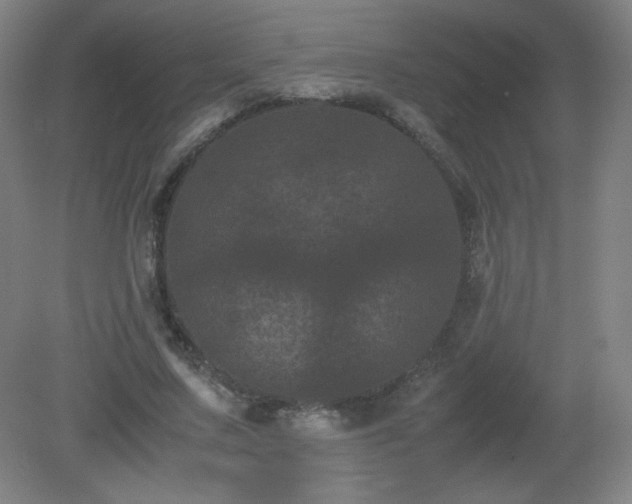 X0000081330683200701181955