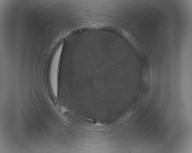 X0000081330685200701181955
