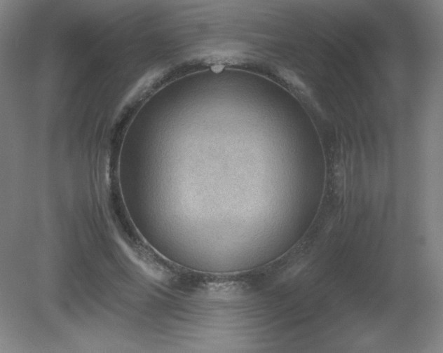 X0000081330686200701181955