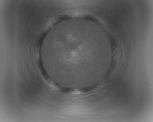 X0000081330695200701181955