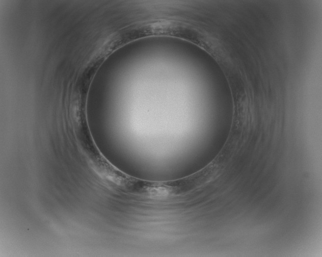 X0000081330698200701181955