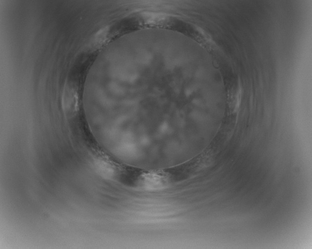 X0000081330703200701181954