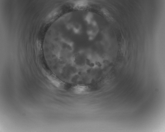 X0000081330711200701181954