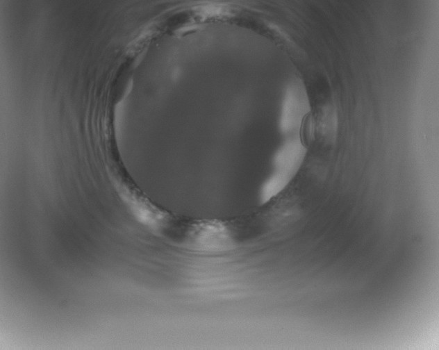 X0000081330715200701181954