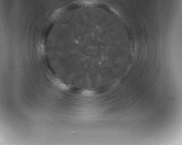 X0000081330718200701181954