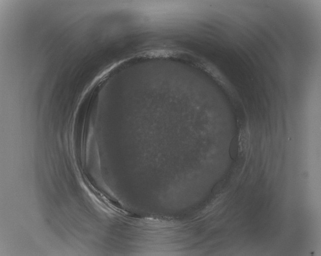 X0000081330722200701181953