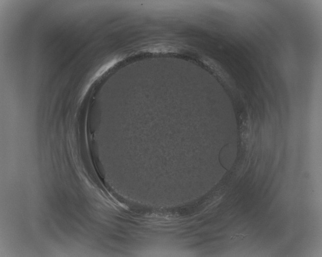 X0000081330727200701181953