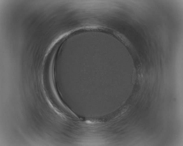 X0000081330728200701181953