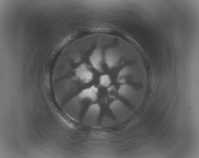 X0000081330729200701181953
