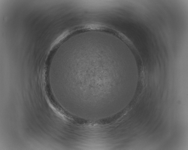 X0000081330730200701181954