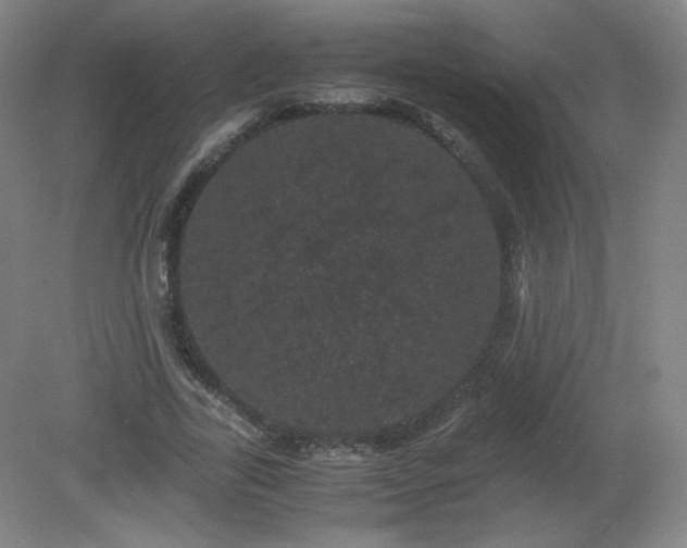 X0000081330731200701181954