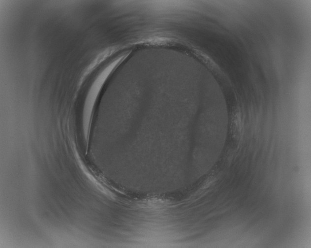 X0000081330734200701181954
