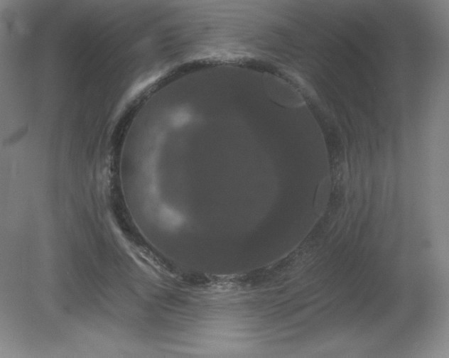 X0000081330736200701181954