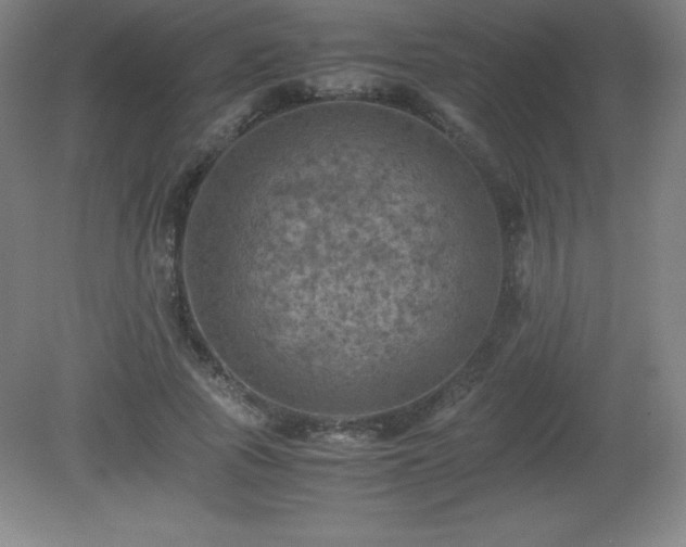 X0000081330737200701181954