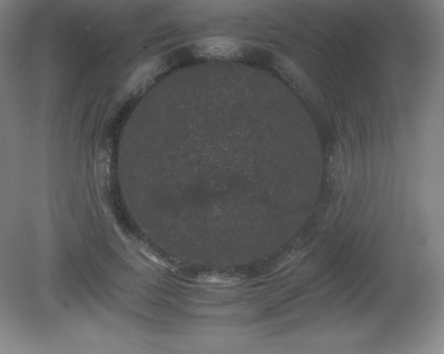 X0000081330739200701181954