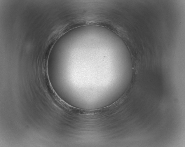 X0000081330740200701181954