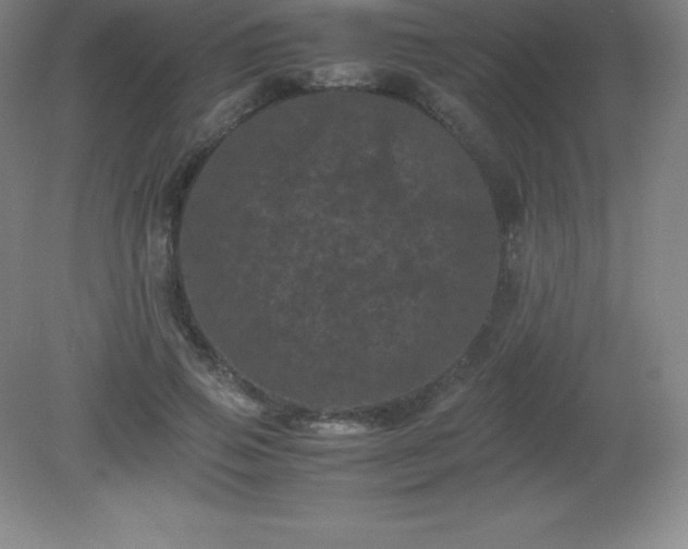X0000081330741200701181954