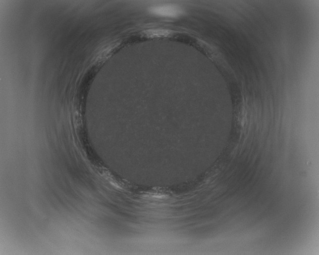 X0000081330743200701181954